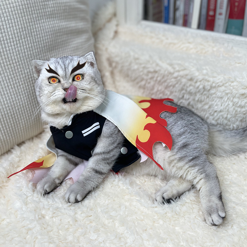 Disfraz de mascota Demon Slaye - Cosplay Flame Prop reseña y precio