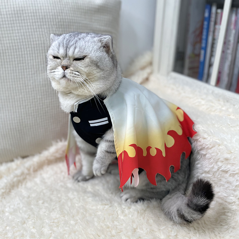 Disfraz de mascota Demon Slaye - Cosplay Flame Prop reseña y precio