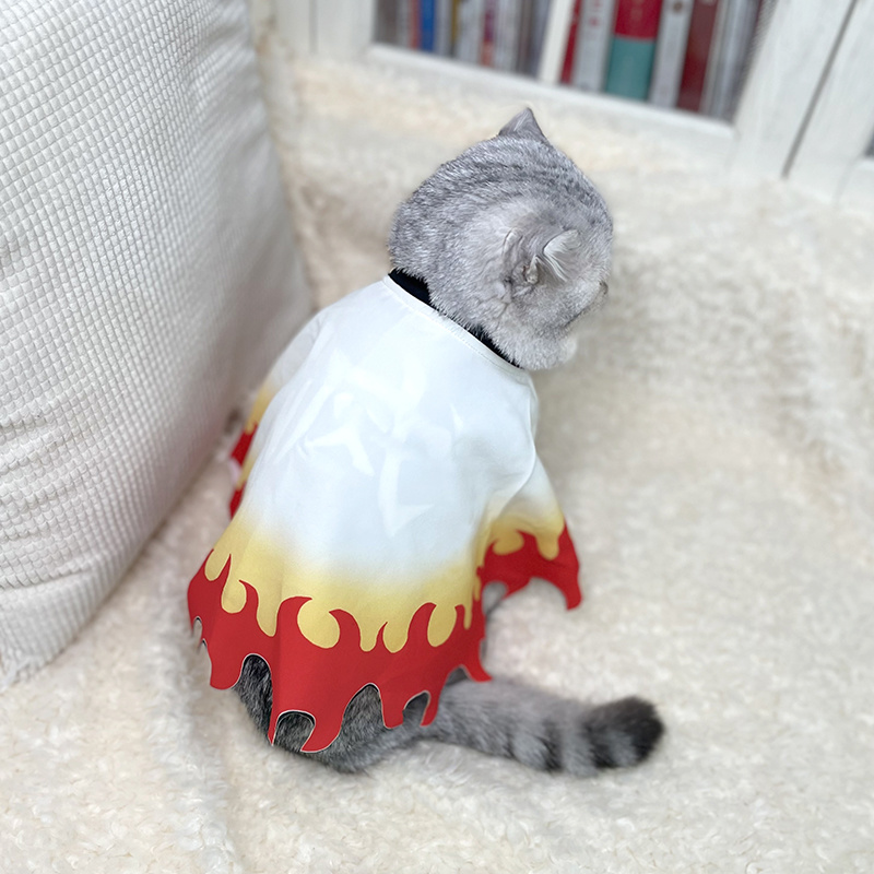 Disfraz de mascota Demon Slaye - Cosplay Flame Prop reseña y precio