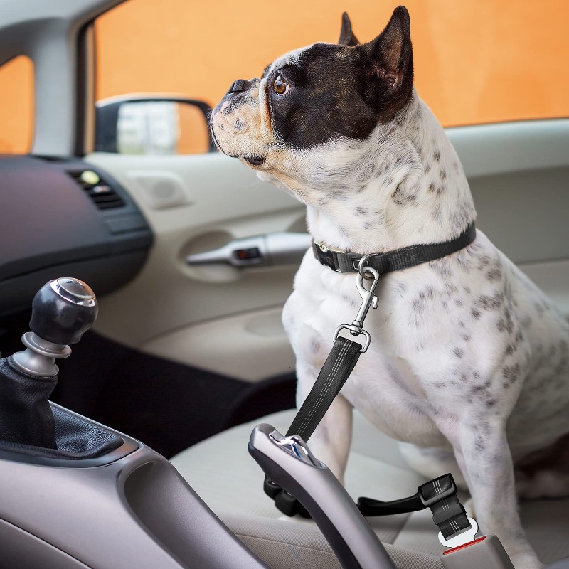 Arnés Retráctil para Perro en  - Snap Fastener Set reseña y precio